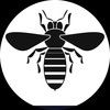 bigmoe_725